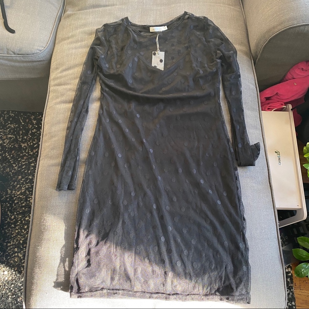 Sheer Polka Dot Mini Dress